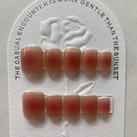 Sweet Peach Blush Nail Kit