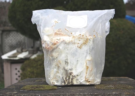 さるのこしかけのお店