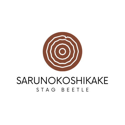 【幻サイズ】さるのこしかけ コフキサルノコシカケ（こふきさるのこしかけ）山菜きのこ直売所