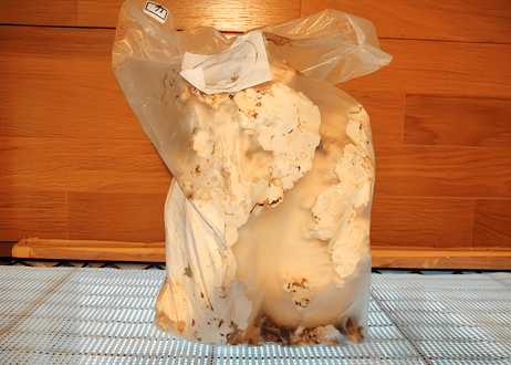 さるのこしかけのお店