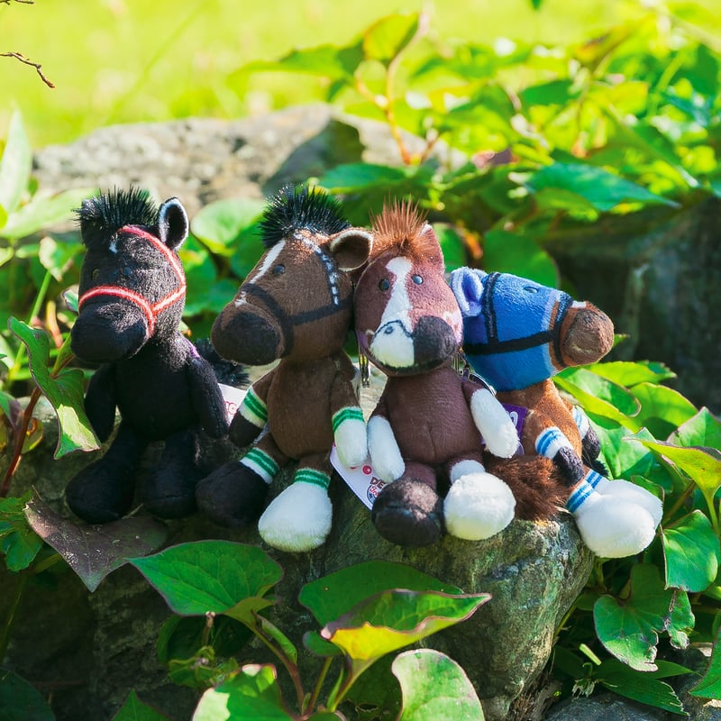 競馬ぬいぐるみダイワスカーレットメジロドーベル ゴールドシップ・マヤノトップガン 競馬ぬいぐるみダイワスカーレットメジロドーベル ゴールド