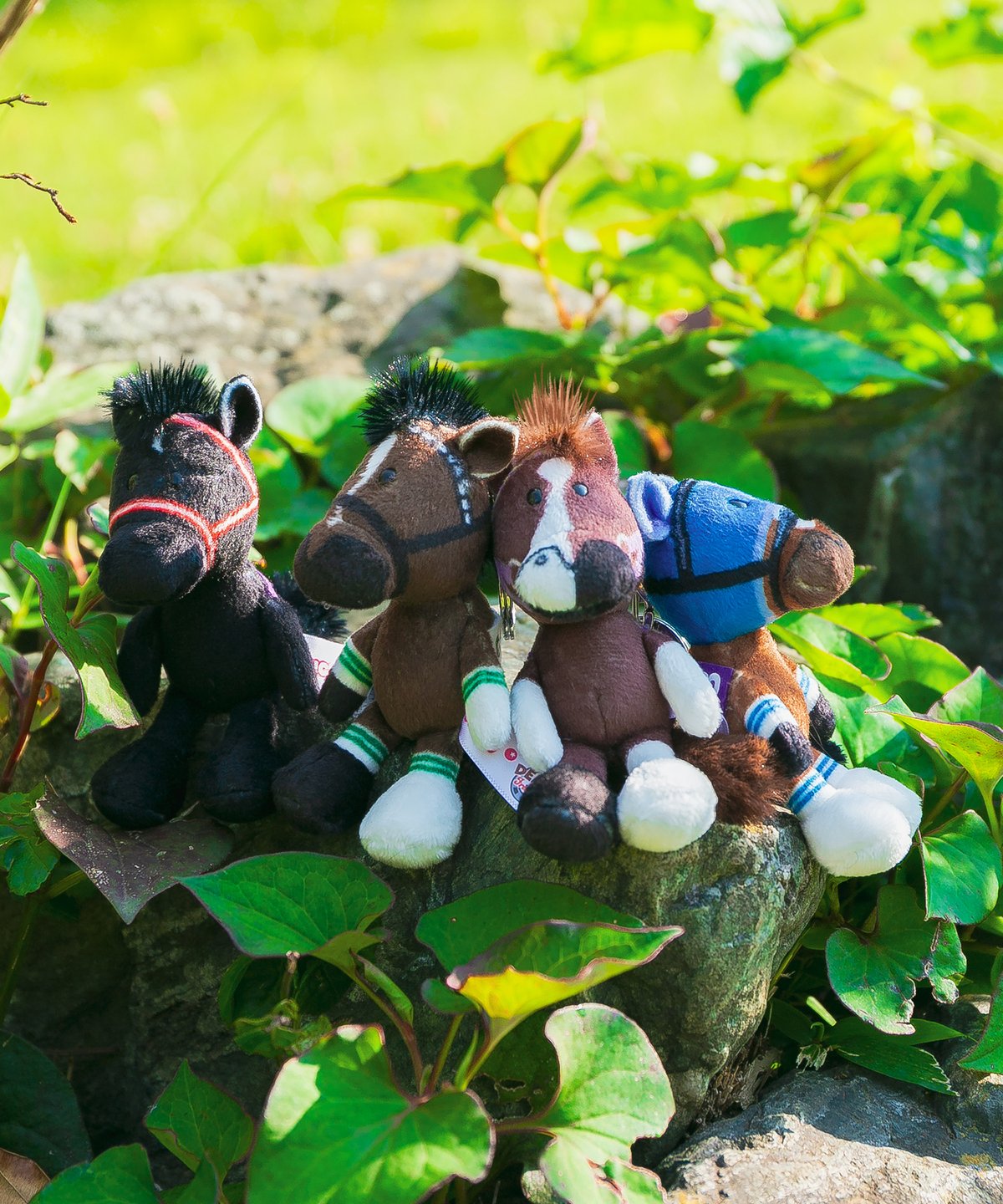 NICI(ニキ)/キーリング マヤノトップガン | 【公式】DERBYFriends