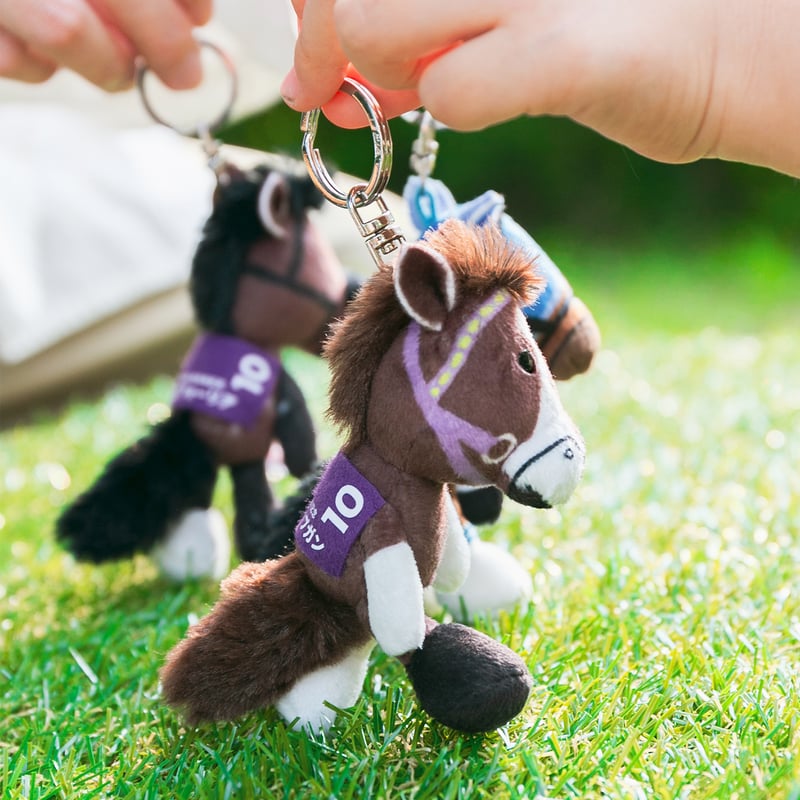 NICI(ニキ)/キーリング マヤノトップガン | 【公式】DERBYFriends