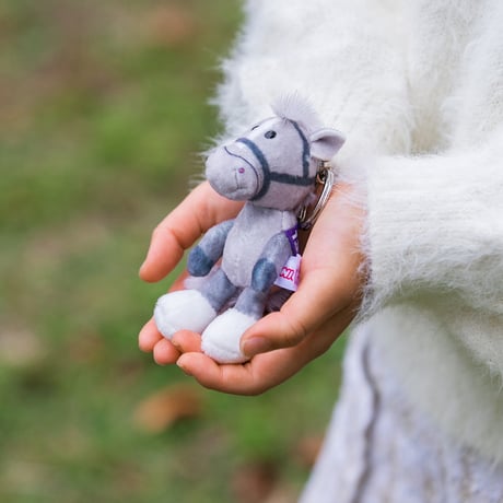 NICI(ニキ)/キーリング ゴールドシップ