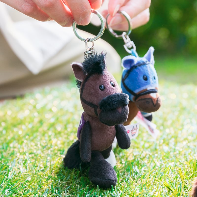 NICI(ニキ)/キーリング エフフォーリア | 【公式】DERBYFriends