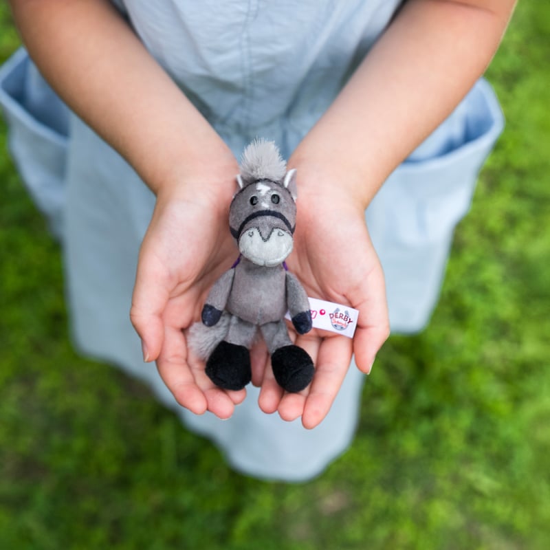 NICI(ニキ)/キーリング クロノジェネシス | 【公式】DERBYFriends