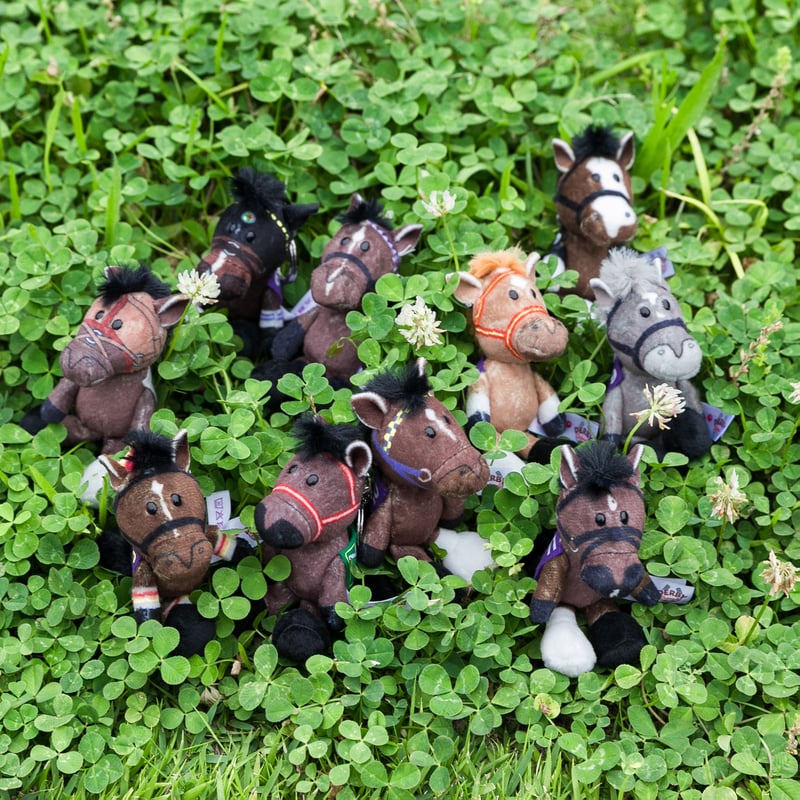 NICI(ニキ)/キーリング ドウデュース | 【公式】DERBYFriends