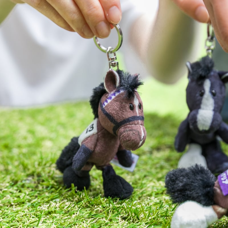 タグ付きNICI（ニキ）/キーリング ドウデュースとゴルシ NICI(ニキ)/キーリング ゴールドシップ | 【公式】DERBYFriends