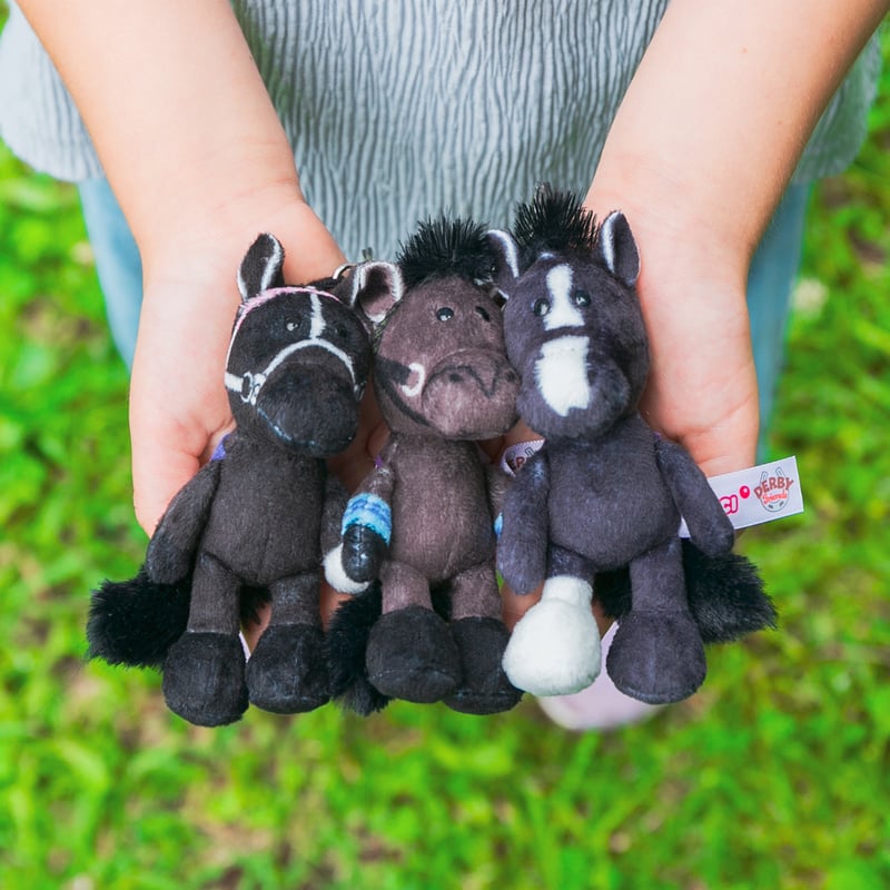 NICI(ニキ)/キーリング ステイゴールド | 【公式】DERBYFriends