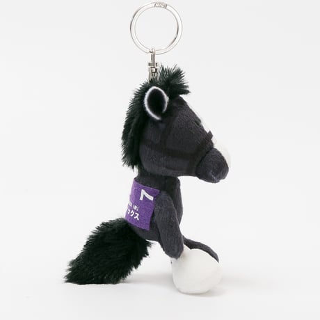 NICI(ニキ)/キーリング イクイノックス