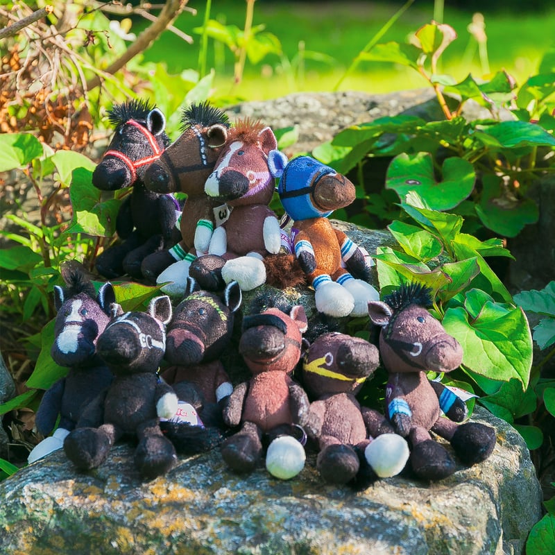 NICI(ニキ)/キーリング コントレイル | 【公式】DERBYFriends