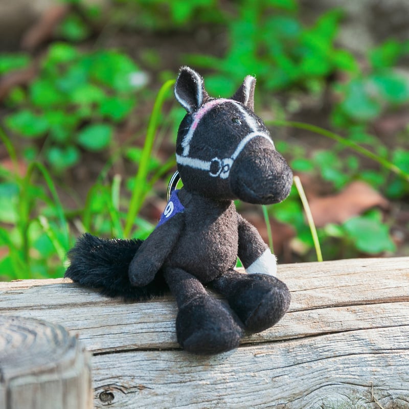 NICI(ニキ)/キーリング ステイゴールド | 【公式】DERBYFriends