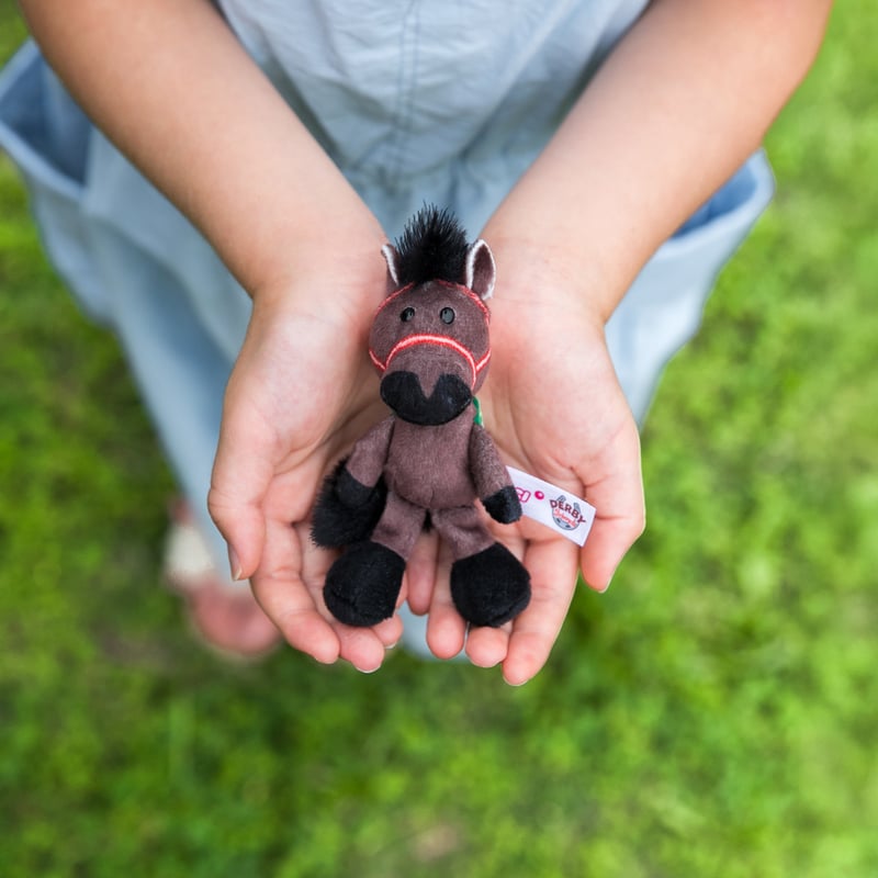 NICI(ニキ)/キーリング パンサラッサ | 【公式】DERBYFriends