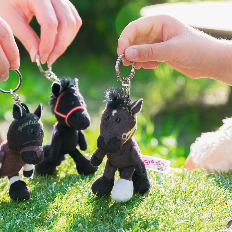 NICI(ニキ)/キーリング ブエナビスタ | 【公式】DERBYFriends