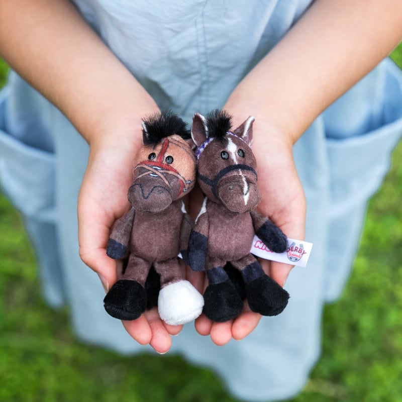 NICI(ニキ)/キーリング ドウデュース | 【公式】DERBYFriends