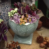 【ミニ観葉】おしゃれカラーの観葉寄せ植え※寄せ植え完成品