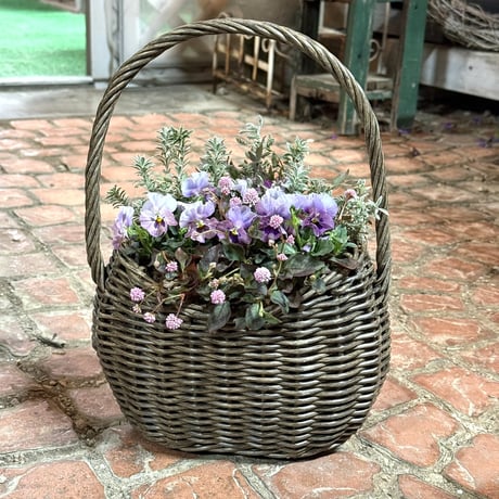 CATEGORY 寄せ植え | プチフルール ネットショップ