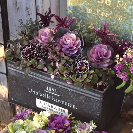 CATEGORY 寄せ植え | プチフルール ネットショップ