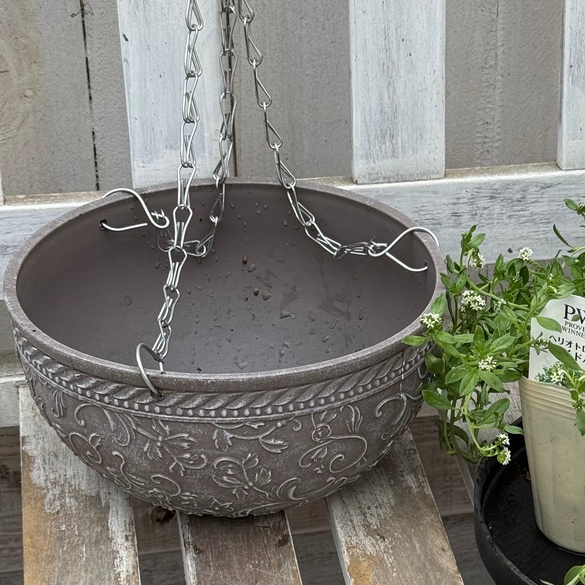 ヘリオトロープ」ハンギングセット※寄せ植えセット | プチフルール
