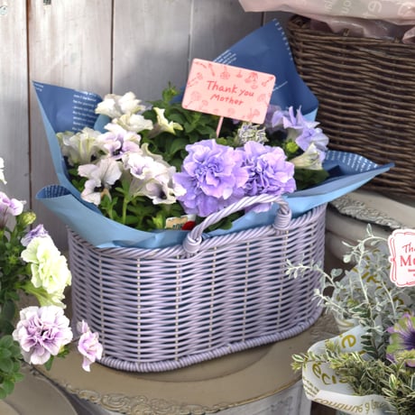 CATEGORY 寄せ植えセット | プチフルール ネットショップ