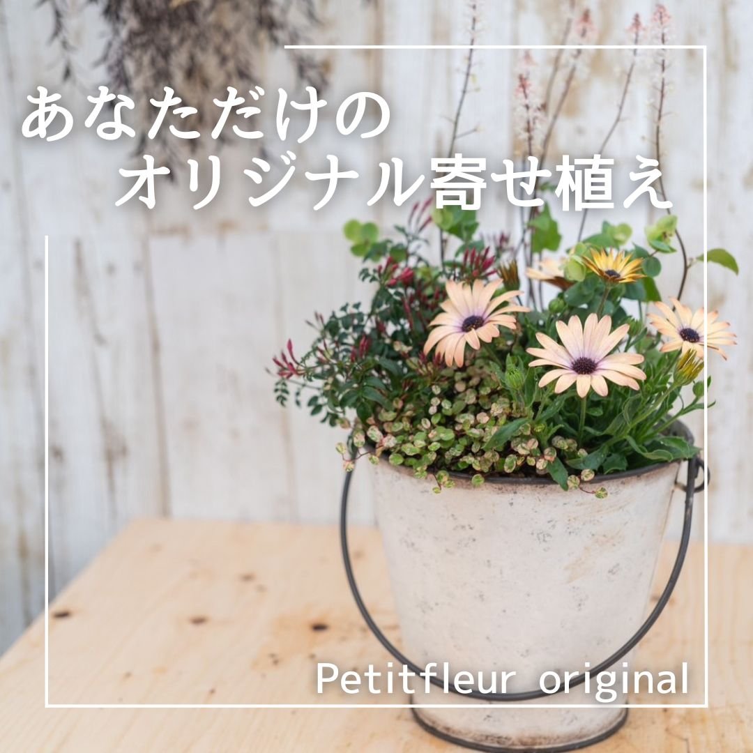 あなただけのオリジナル寄せ植え』※完成品 | プチフルール ネットショップ