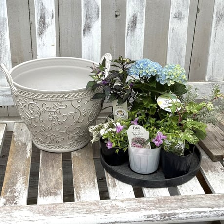 CATEGORY 寄せ植えセット | プチフルール ネットショップ