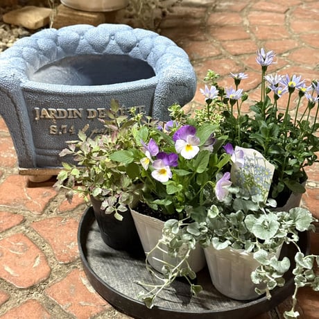 CATEGORY 寄せ植えセット | プチフルール ネットショップ