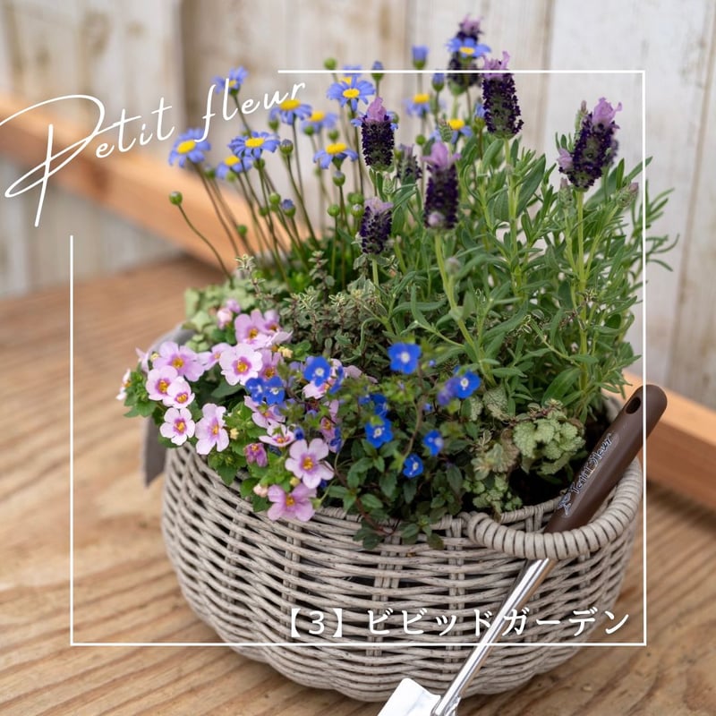 あなただけのオリジナル寄せ植え』※完成品 | プチフルール ネットショップ