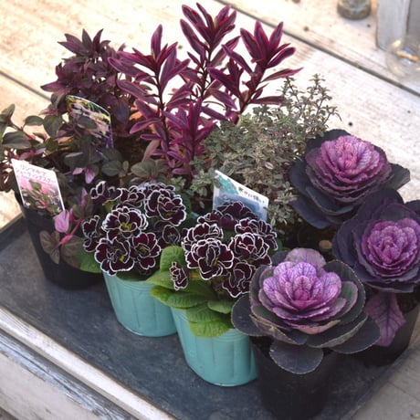 プチフルール ネットショップ