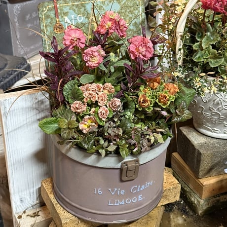 CATEGORY 寄せ植え | プチフルール ネットショップ