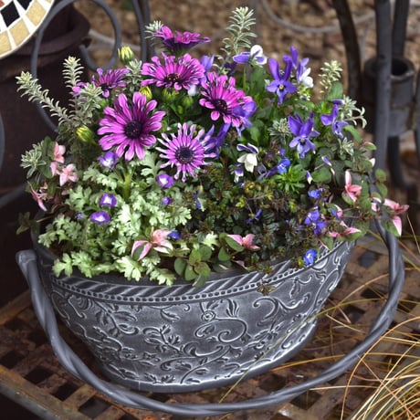 CATEGORY 寄せ植え | プチフルール ネットショップ