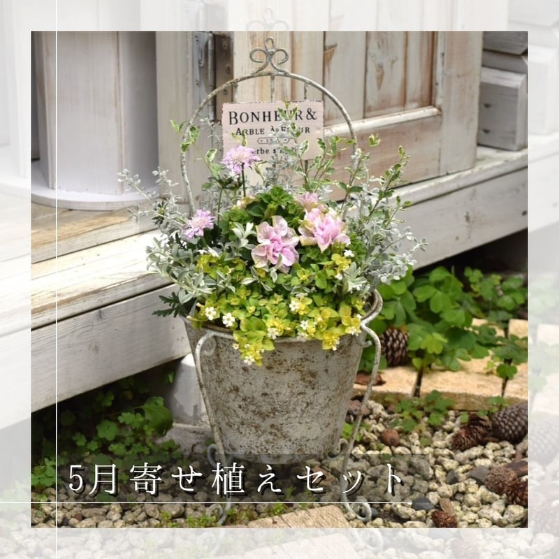 お花のプチフル定期便 「寄せ植えセット」 | プチフルール ネットショップ