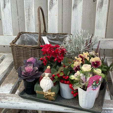 CATEGORY 寄せ植えセット | プチフルール ネットショップ CATEGORY 寄せ植えセット | プチフルール ネットショップ