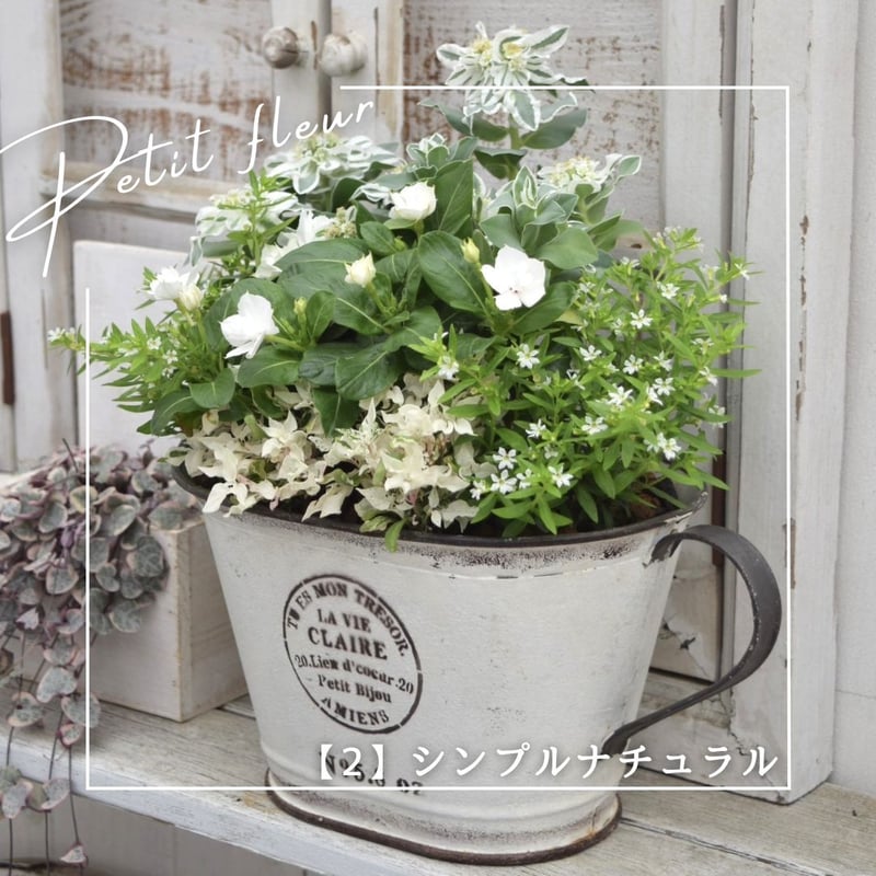 あなただけのオリジナル寄せ植え』※完成品 | プチフルール ネットショップ