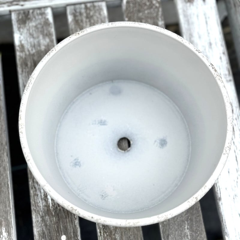 フランス ホテル ル コルビュジエ ヴィンテージホワイト陶器プランター　縦長円形 フランス ホテル ル コルビュジエ ヴィンテージホワイト陶器