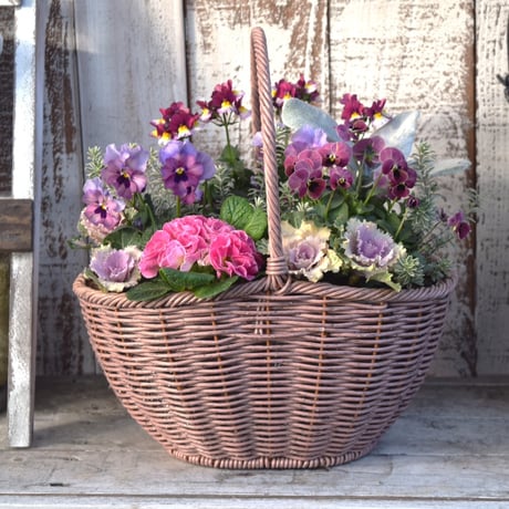 CATEGORY 寄せ植え | プチフルール ネットショップ