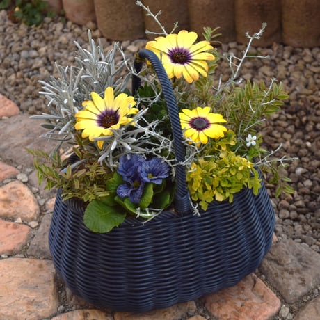 CATEGORY 寄せ植え | プチフルール ネットショップ