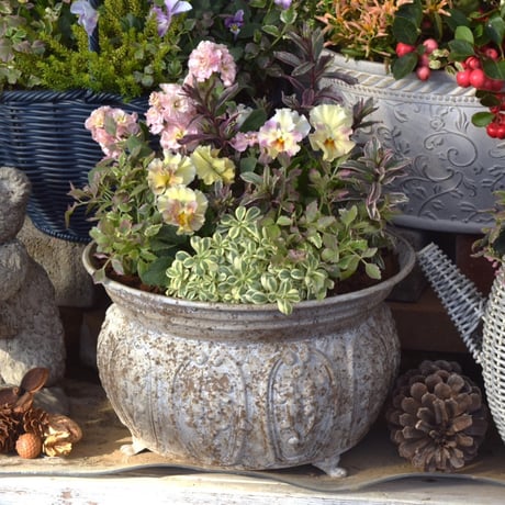 CATEGORY 寄せ植え | プチフルール ネットショップ