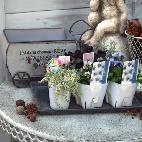 CATEGORY 寄せ植えセット | プチフルール ネットショップ