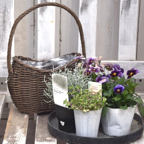 CATEGORY 寄せ植えセット | プチフルール ネットショップ