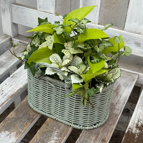 CATEGORY 寄せ植え | プチフルール ネットショップ