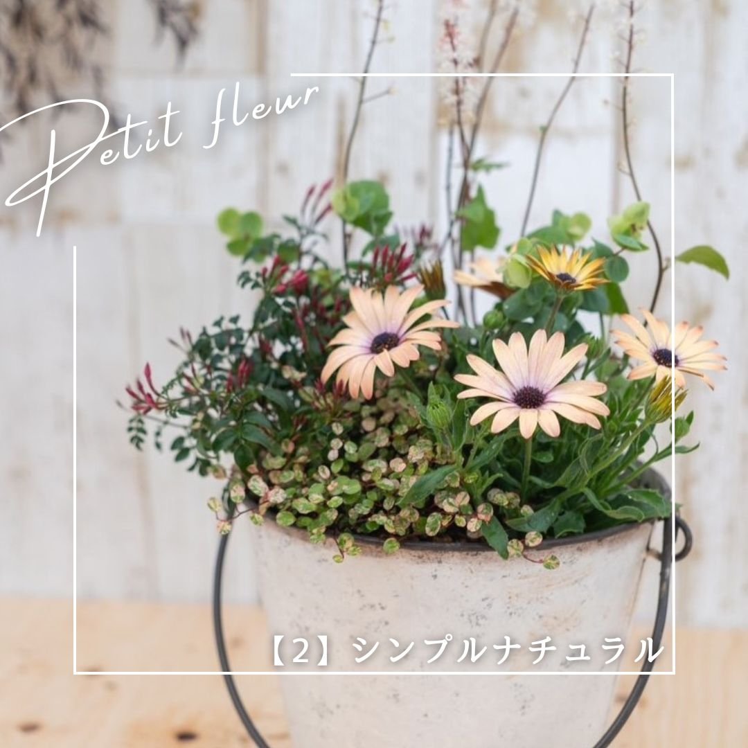 No.360　 寄せ植え　花 あなただけのオリジナル寄せ植え』※完成品 | プチフルール ネットショップ