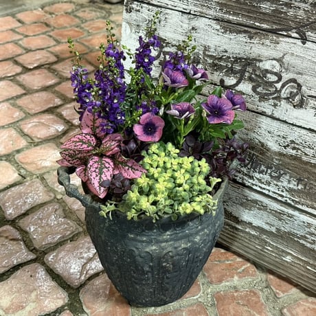 CATEGORY 寄せ植え | プチフルール ネットショップ