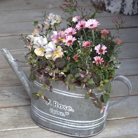 寄せ植え　フワリページ　プティフール プティフール寄せ植え フワリ様 プチフルール (@putifuru) · Fukuroi