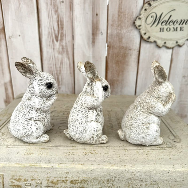 まるうさぎさま　おまとめ2点　オーガンジードッキングプルオーバー 見ざる』『聞かざる』『言わざる』ウサギオブジェ | プチフルール