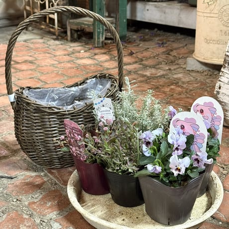 CATEGORY 寄せ植えセット | プチフルール ネットショップ