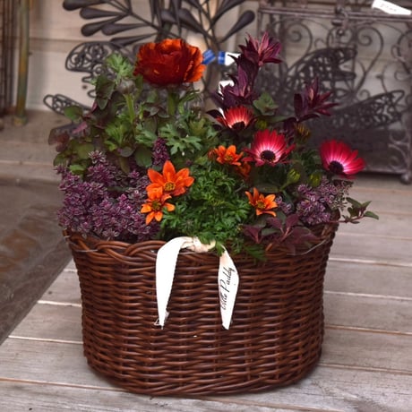 CATEGORY 寄せ植え | プチフルール ネットショップ