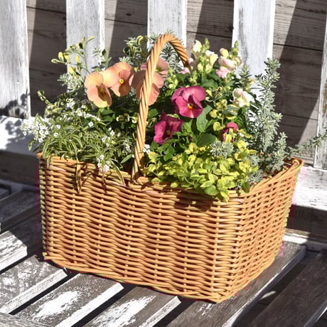 CATEGORY 寄せ植え | プチフルール ネットショップ