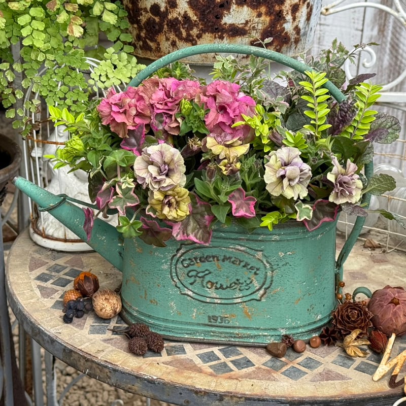 花友受賞＆プレゼント付き】シックなペチュニア寄せ植え※完成品 | プチ