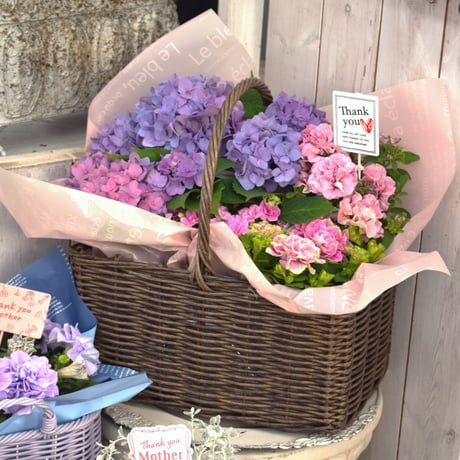 CATEGORY 寄せ植えセット | プチフルール ネットショップ
